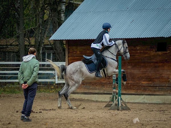 Сильвер, фотография 3