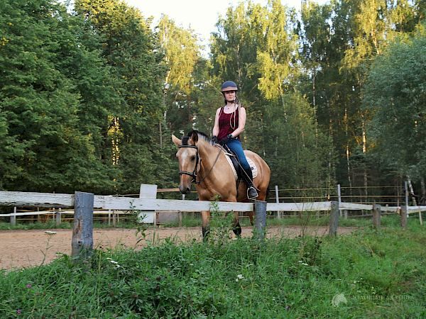 Арабелла, фотография 2